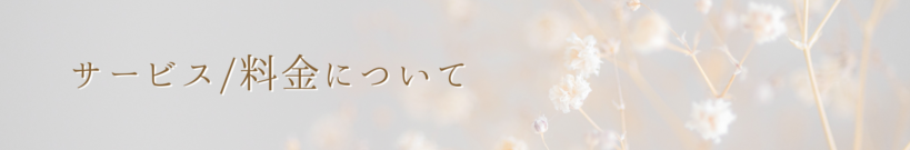 サービス料金について